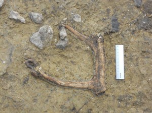 Colfiorito di Foligno – sito U6 Colfiorito di Foligno – sito U6